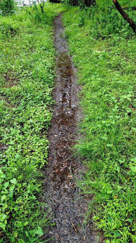Week 37 Muddy Trail
